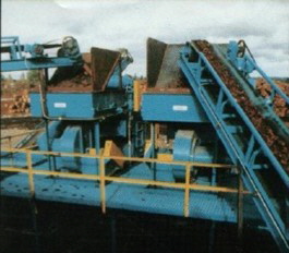 RMS1